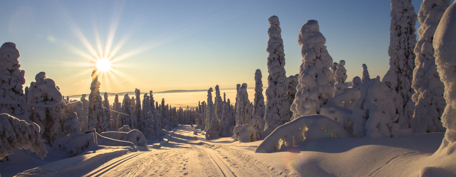 adventure-cold-cross-country-skiing-416728-2