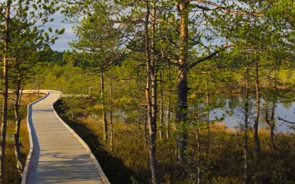 Lahemaa National Park