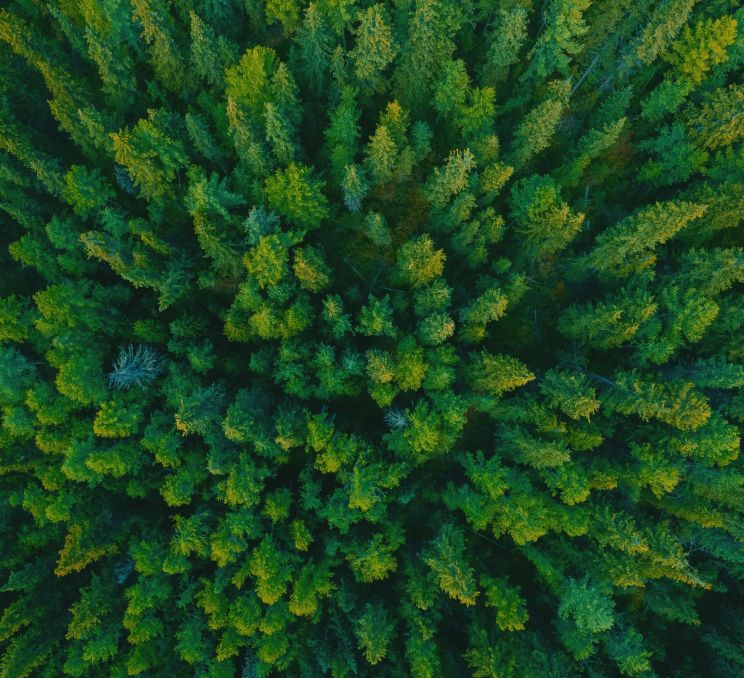 National Parks in the Baltics