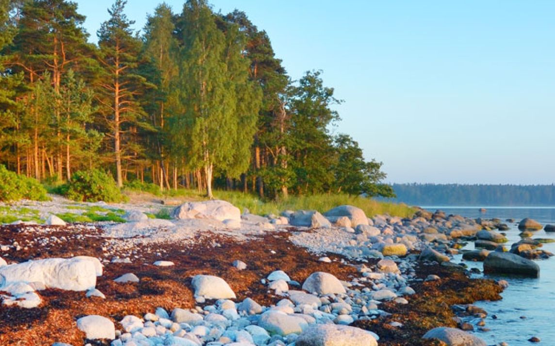Käsmu Peninsula
