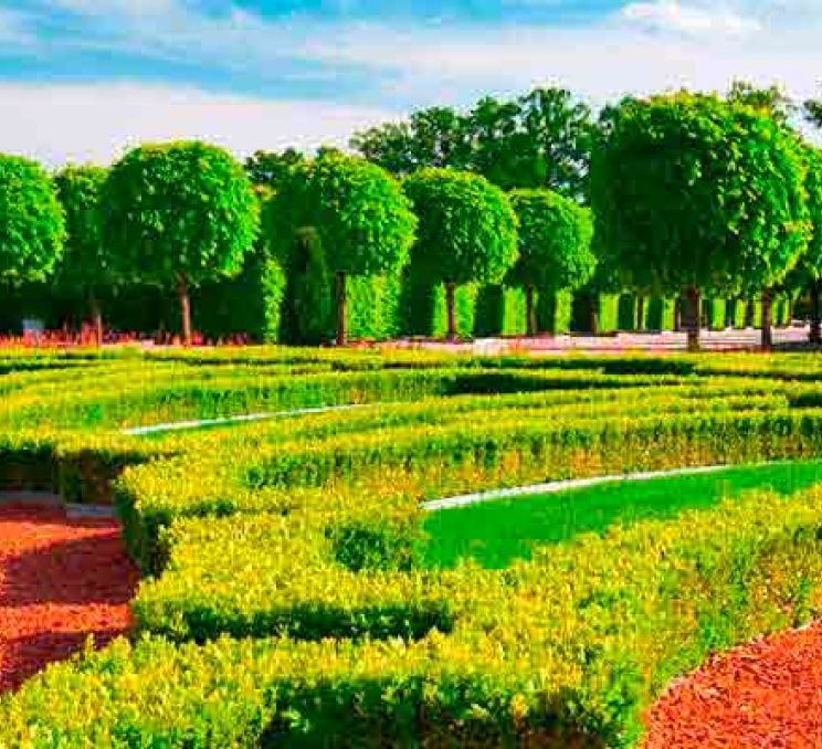 Delve into the Marvellous Palace of Rundale