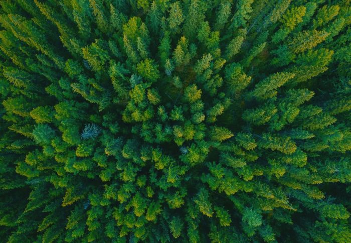 National Parks in the Baltics