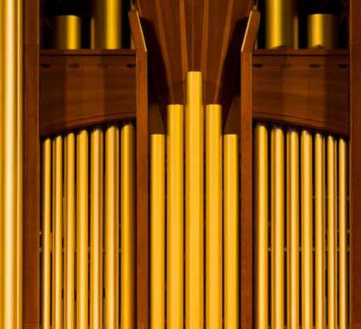 Optional Tour: Organ Concert at Dome Cathedral