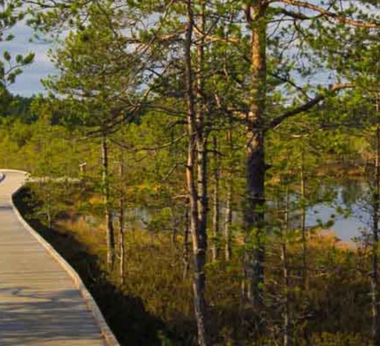 Estonian Inspiration: Lahemaa National Park