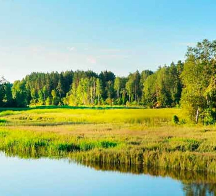 Visit Valmiera for an Unforgettable Holiday