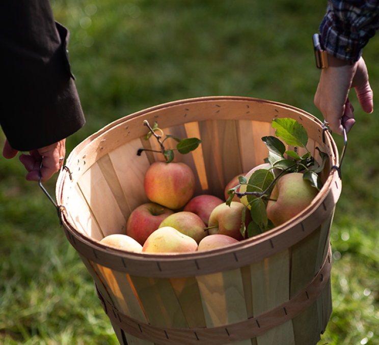 It's Apples Season in Lithuania!