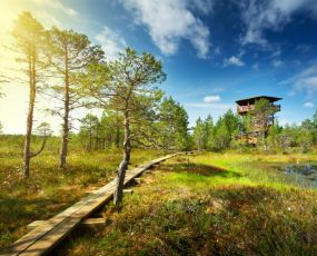 Lahemaa National Park, Estonia