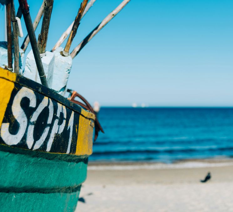 Optional Tour: Tri-city with Sopot and Gdynia with organ concert at Oliwa Church