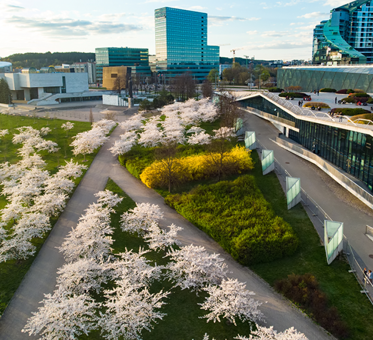 Spring: Blooming Season in Lithuania