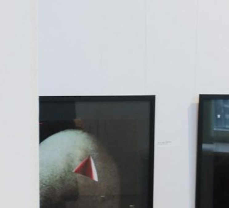 Museum of New Art