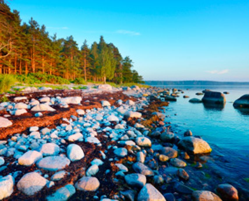 Wild beach in Parnu, Estonia