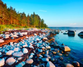 Wild beach in Parnu, Estonia