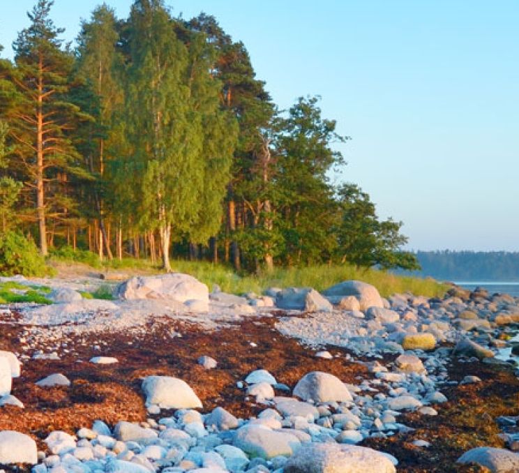 Käsmu Peninsula
