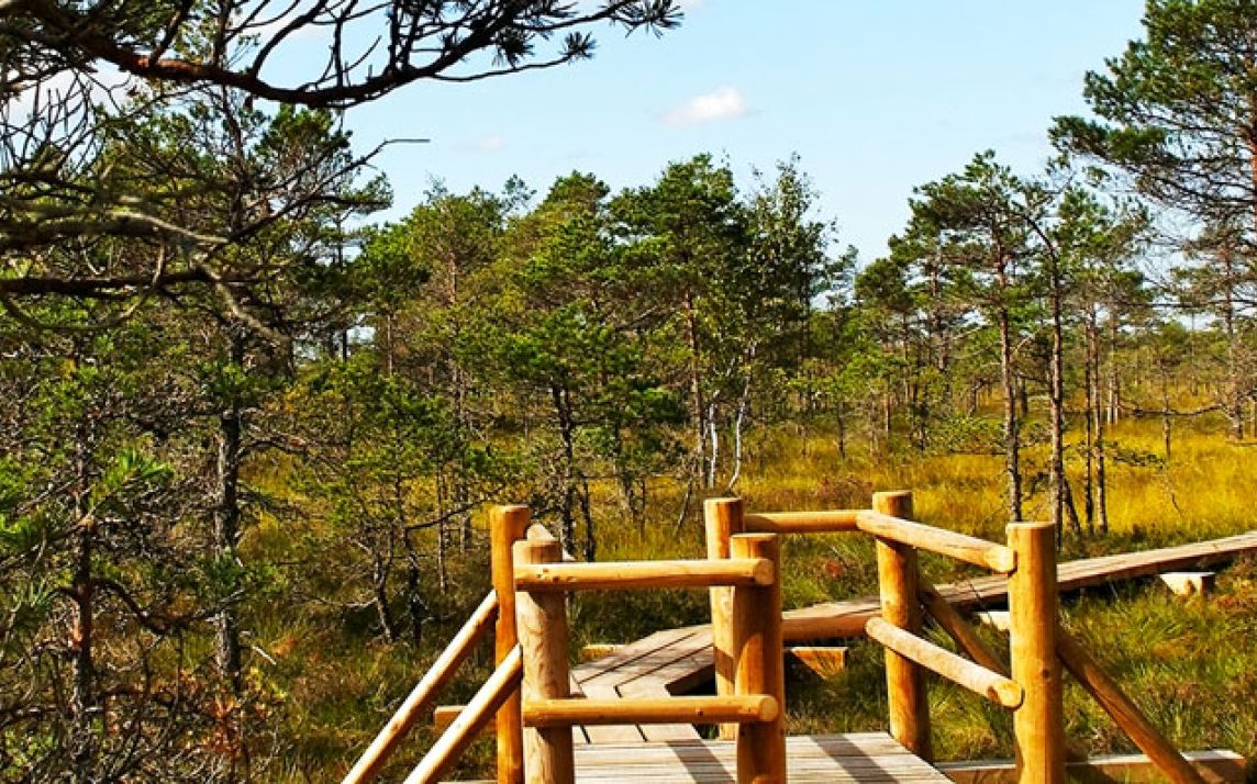 Kemeri National Park