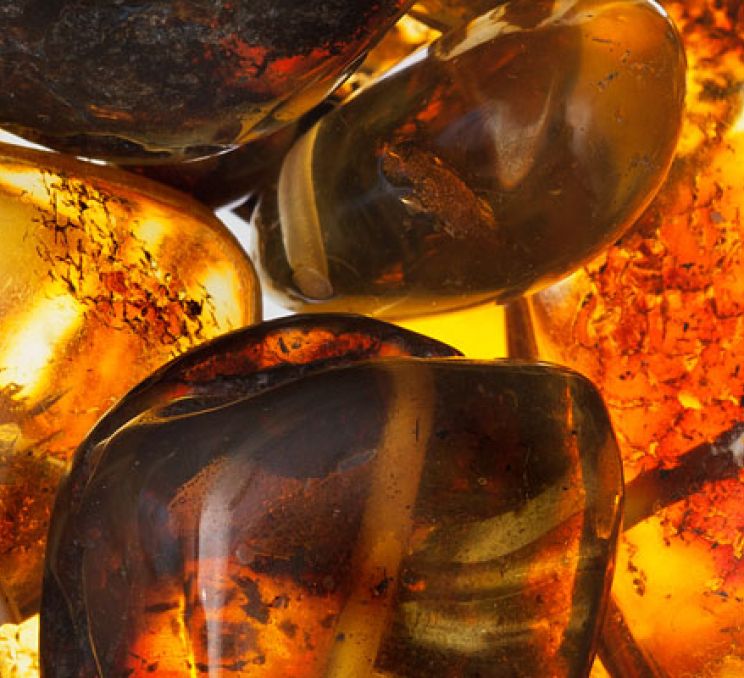 Amber Museum - Gallery