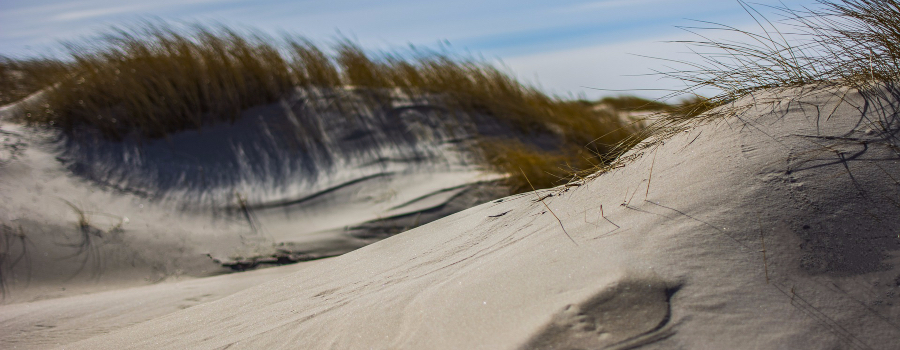 dunes-4100220_1920-2