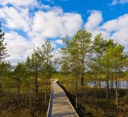 Lahemaa National Park – place to visit | Baltic Tours