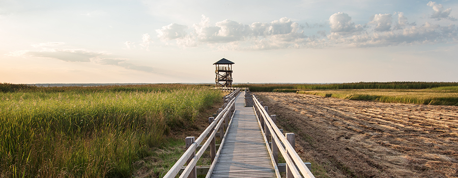 Visit Liepaja. Baltic Tours.