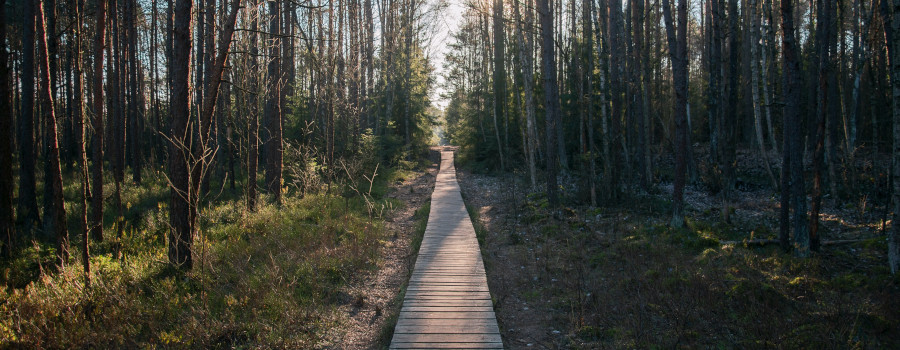 Lithuania Nature