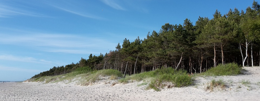 Lithuania beach