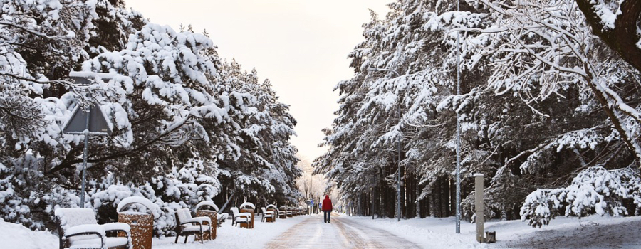 Winter in Lithuania